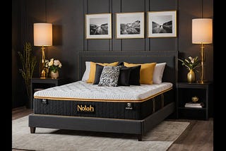 Nolah-Mattress-1