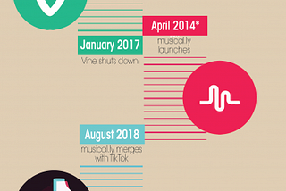 The History of Vine