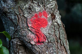 Stumped