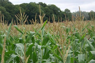 Use XGB’s predict_proba attribute to make predictions on three types of fertiliser