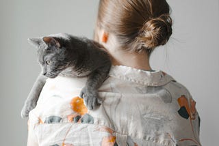 Who’s Responsible for all the Childless Cat Ladies When AI Takes Their Jobs?