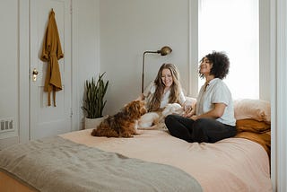 What You Should Know Before Hiring a Pet Sitter — Ameni Coco