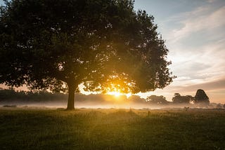 Why it’s the darkest before dawn