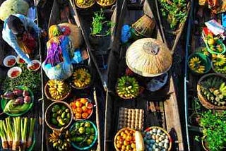 How to Feed the World and Save the Planet — A View from the Ground