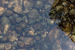 Bathing in Shallow Water