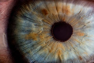 The Art of Creating a Cornea