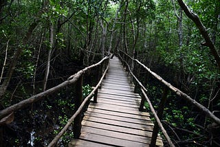 Decoding Green Skills