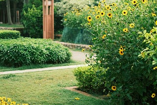 The Garden of Hidden Hearts