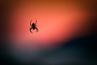 Spider crawler