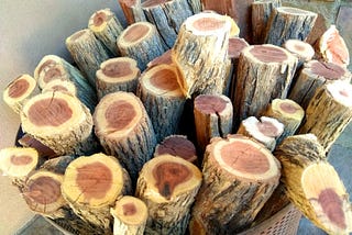 Best Sekelbos Firewood