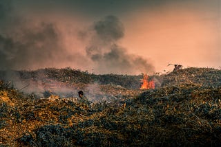 If a treaty did not work, do we need another strategy to reduce Indonesia’s haze episodes?