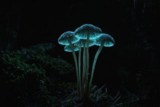 Mushroom-Night-Light-1