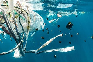 Accro aux solutions: comment les pêcheries canadiennes peuvent ramener la pollution plastique