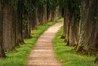 dirt path through forest