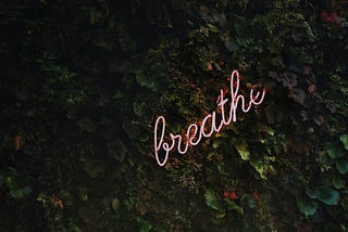 How I Stopped Hustling and Started Training for Life