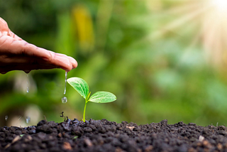 A Better Way to Use Drip Irrigation