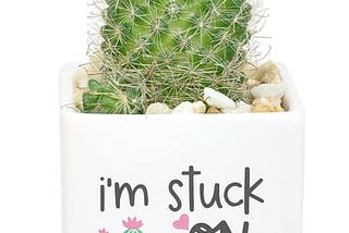 costa-farms-desert-escape-live-indoor-7in-tall-green-cactus-bright-direct-sunlight-plant-in-2-5in-ce-1