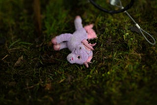 L’unicorno