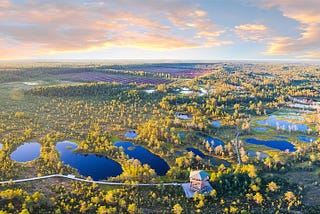 The Estonian Farmland Market