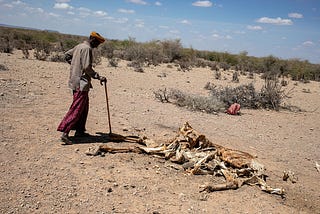 As famine looms over horn of Africa, calls for help fall on deaf ears