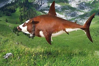 Cow-Sharks: exploring the Shape vs. Texture biases in Deep Neural Networks