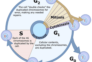 A Microscopic secret of Time & Space