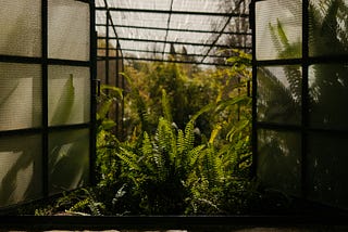 Bringing the outdoors in: architecture that nurtures our connection with nature