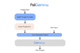 Customizing PaliGemma: A Guide to Fine Tuning for Targeted Applications