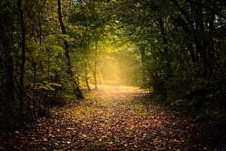 You might not need a computer science degree