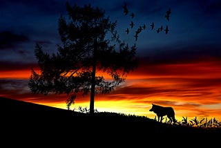 Is it possible to reconcile a wolf with a lamb?