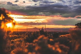 Identity & Privilege through Indigenous Queer Wisdom