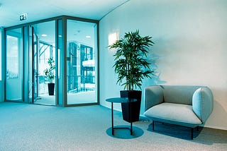An office reception area showing the door,  a chair, and a plant
