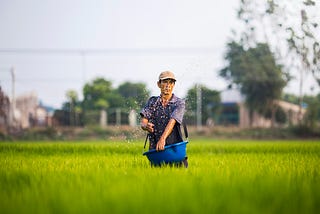 A FOOL FARMER AND THE GRACE OF GOD