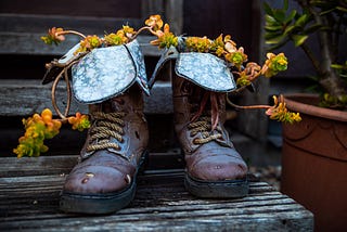 Bootstrapped Meta-Learning — An Implementation