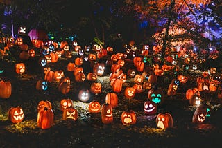 Haunted Pumpkin Patch Lit Up At Night