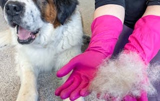Pet Care Hacks: The Best Tips and Tricks for Grooming Your Furry Friend at Home