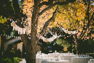 Wedding tables under tree cover