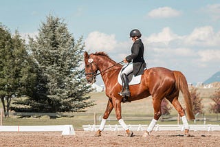 What horse riders know about AI that you don’t 🐴