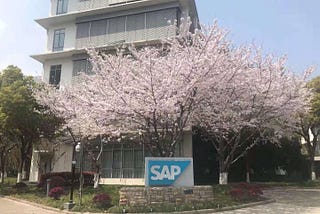 A Software Developer’s 17 years in SAP Labs China
