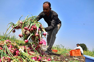 Eduwaive’s Take on Agriculture