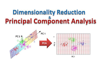 Dimensionality Reduction using Principal Component Analysis (PCA)