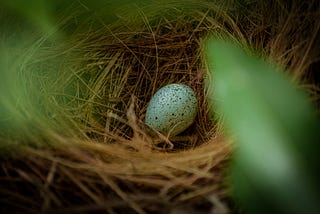 Having Trouble Knowing What To Write About? Try A Cuckoo Blog.