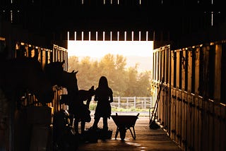 How to Make Practical Plans to Bring Your Horses to you Home