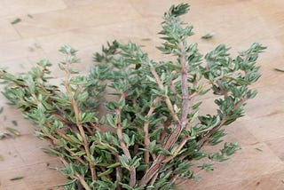 Figure shows a medicinal plant called commen thyme.