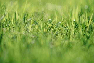 Where the Grass is Greener