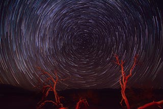 Un tourbillon d’étoiles filantes dans des teintes violacés. Au premier plan, des branches d’arbre mort, rouges, se détachent de l’image. On dirait que ces deux éléments ne vont pas ensemble, qu’ils ne peuvent pas être du même monde