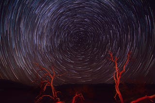 Un tourbillon d’étoiles filantes dans des teintes violacés. Au premier plan, des branches d’arbre mort, rouges, se détachent de l’image. On dirait que ces deux éléments ne vont pas ensemble, qu’ils ne peuvent pas être du même monde