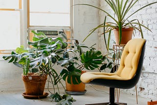 empty therapist’s chair, in a white brick room, with green plants in the background.