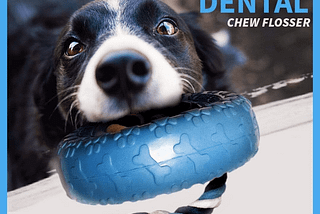 The Essential Role of Dog Teething Toys: Nurturing Your Puppy’s Dental Health