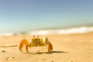 Benchmark TypeScript Parsers: Demystify Rust Tooling Performance